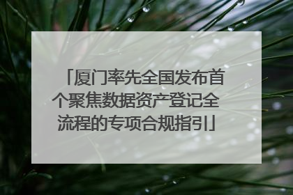 厦门率先全国发布首个聚焦数据资产登记全流程的专项合规指引