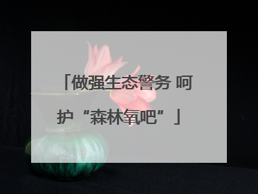 做强生态警务 呵护“森林氧吧”