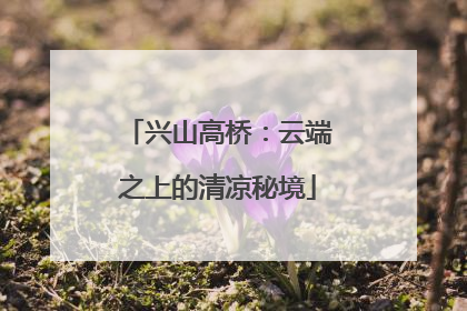 兴山高桥：云端之上的清凉秘境
