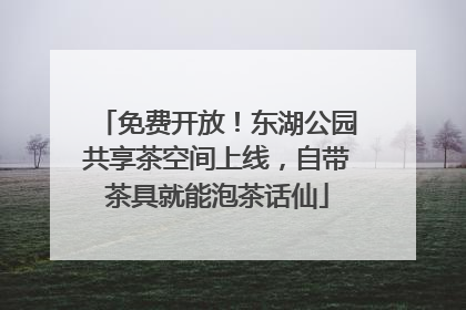 免费开放！东湖公园共享茶空间上线，自带茶具就能泡茶话仙