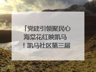 党建引领聚民心 海棠花红映凯马！凯马社区第三届邻里生活节谱写幸福新篇章
