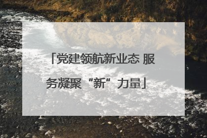 党建领航新业态 服务凝聚“新”力量