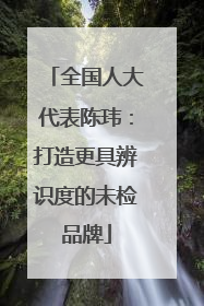 全国人大代表陈玮：打造更具辨识度的未检品牌
