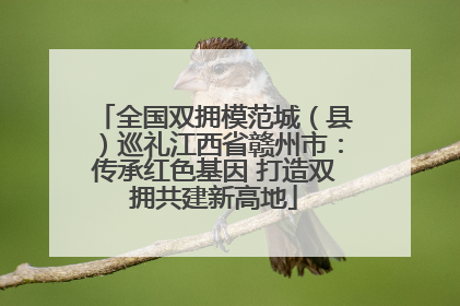 全国双拥模范城（县）巡礼江西省赣州市：传承红色基因 打造双拥共建新高地