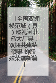 全国双拥模范城（县）巡礼河北省大厂县：双拥共建结硕果 蝉联殊荣谱新篇