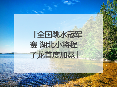 全国跳水冠军赛 湖北小将程子龙首度加冕