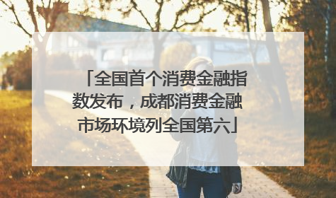 全国首个消费金融指数发布，成都消费金融市场环境列全国第六