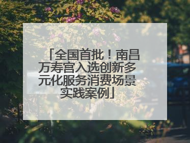 全国首批！南昌万寿宫入选创新多元化服务消费场景实践案例