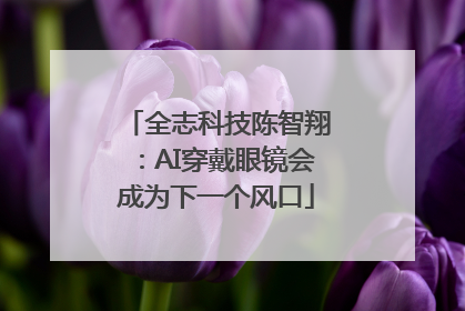全志科技陈智翔：AI穿戴眼镜会成为下一个风口