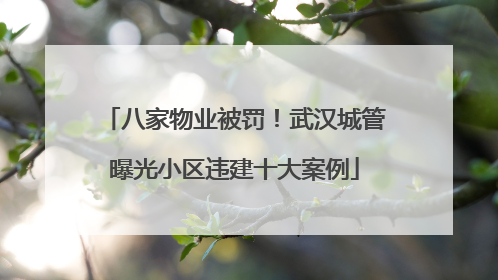 八家物业被罚！武汉城管曝光小区违建十大案例