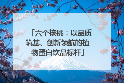 六个核桃：以品质筑基、创新领航的植物蛋白饮品标杆