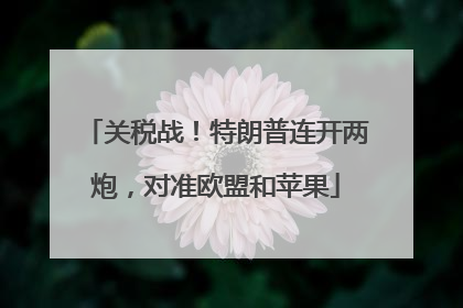 关税战！特朗普连开两炮，对准欧盟和苹果