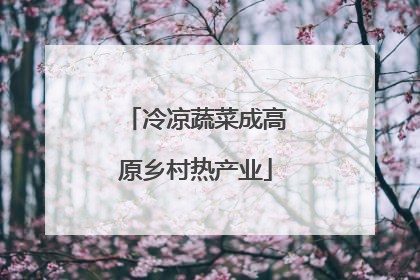 冷凉蔬菜成高原乡村热产业