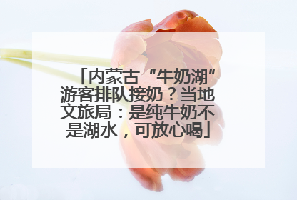 内蒙古“牛奶湖”游客排队接奶？当地文旅局：是纯牛奶不是湖水，可放心喝