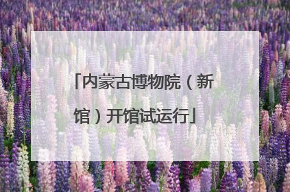 内蒙古博物院（新馆）开馆试运行