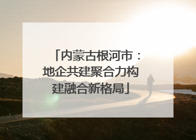 内蒙古根河市：地企共建聚合力构建融合新格局