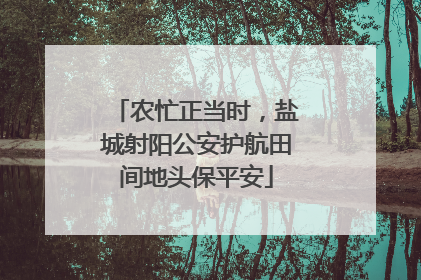 农忙正当时，盐城射阳公安护航田间地头保平安