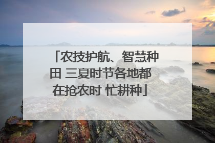 农技护航、智慧种田 三夏时节各地都在抢农时 忙耕种