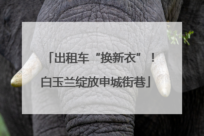 出租车“换新衣”！白玉兰绽放申城街巷