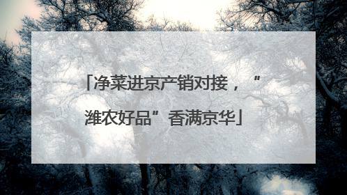净菜进京产销对接，“潍农好品”香满京华