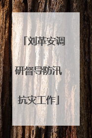 刘革安调研督导防汛抗灾工作