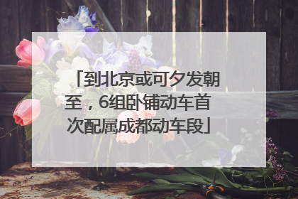 到北京或可夕发朝至，6组卧铺动车首次配属成都动车段