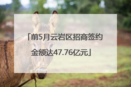 前5月云岩区招商签约金额达47.76亿元