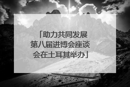 助力共同发展 第八届进博会座谈会在土耳其举办