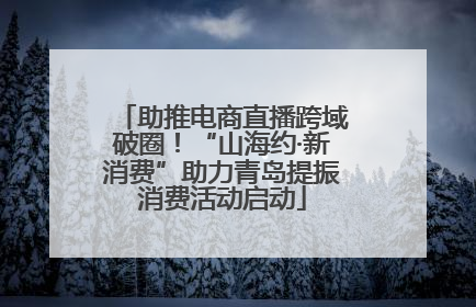 助推电商直播跨域破圈！“山海约·新消费”助力青岛提振消费活动启动