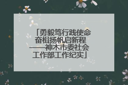 勇毅笃行践使命 奋楫扬帆启新程——神木市委社会工作部工作纪实
