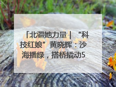 北疆她力量｜“科技红娘”黄晓辉：沙海播绿，搭桥撬动5.3亿研发