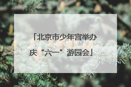北京市少年宫举办庆“六一”游园会