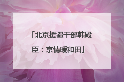 北京援疆干部韩殿臣：京情暖和田
