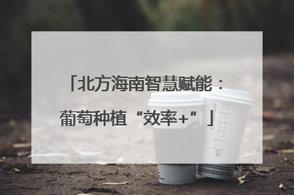 北方海南智慧赋能：葡萄种植“效率+”