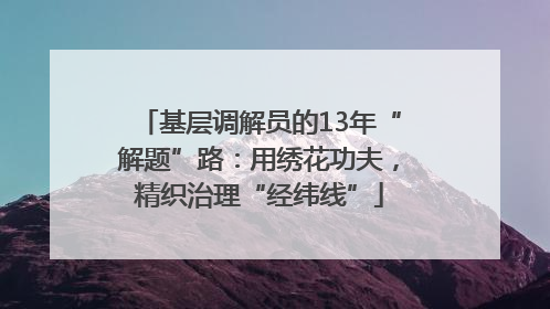 基层调解员的13年“解题”路：用绣花功夫，精织治理“经纬线”