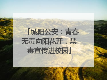 城阳公安：青春无毒向阳花开，禁毒宣传进校园