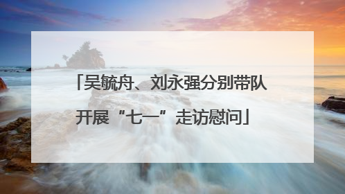 吴毓舟、刘永强分别带队开展“七一”走访慰问