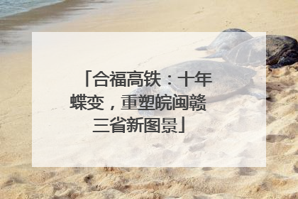 合福高铁：十年蝶变，重塑皖闽赣三省新图景