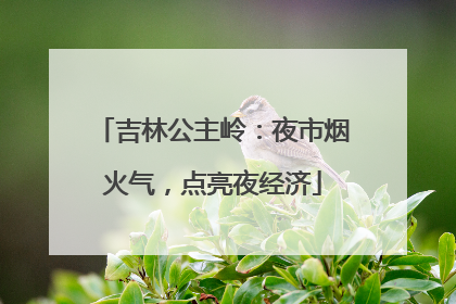 吉林公主岭：夜市烟火气，点亮夜经济