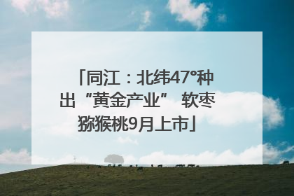 同江：北纬47°种出“黄金产业” 软枣猕猴桃9月上市