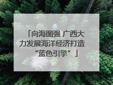 向海图强 广西大力发展海洋经济打造“蓝色引擎”