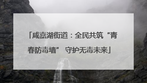 咸嘉湖街道：全民共筑“青春防毒墙” 守护无毒未来