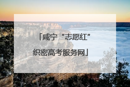 咸宁“志愿红”织密高考服务网