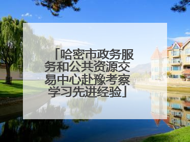 哈密市政务服务和公共资源交易中心赴豫考察学习先进经验