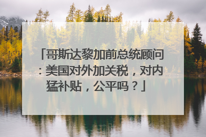 哥斯达黎加前总统顾问：美国对外加关税，对内猛补贴，公平吗？
