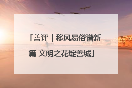 善评｜移风易俗谱新篇 文明之花绽善城