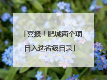 喜报！肥城两个项目入选省级目录