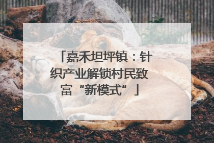 嘉禾坦坪镇：针织产业解锁村民致富“新模式”