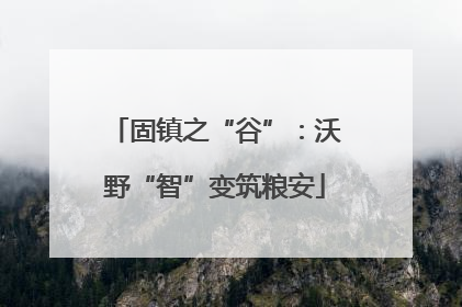 固镇之“谷”：沃野“智”变筑粮安