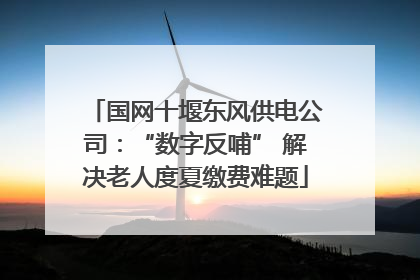 国网十堰东风供电公司：“数字反哺” 解决老人度夏缴费难题
